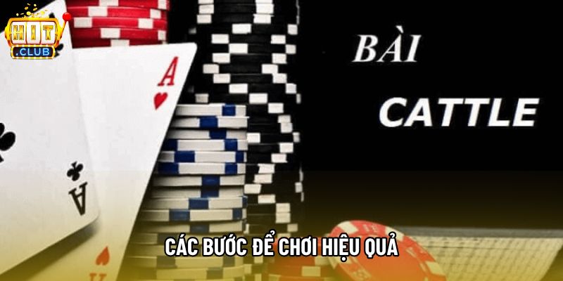 Các bước để chơi hiệu quả