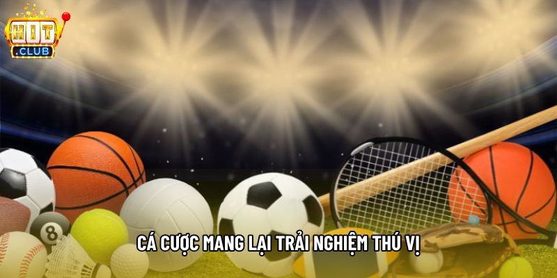 Cá cược mang lại trải nghiệm thú vị