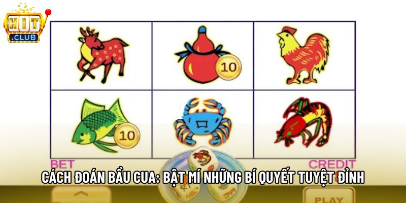 Cách Đoán Bầu Cua: Bật Mí Những Bí Quyết Tuyệt Đỉnh