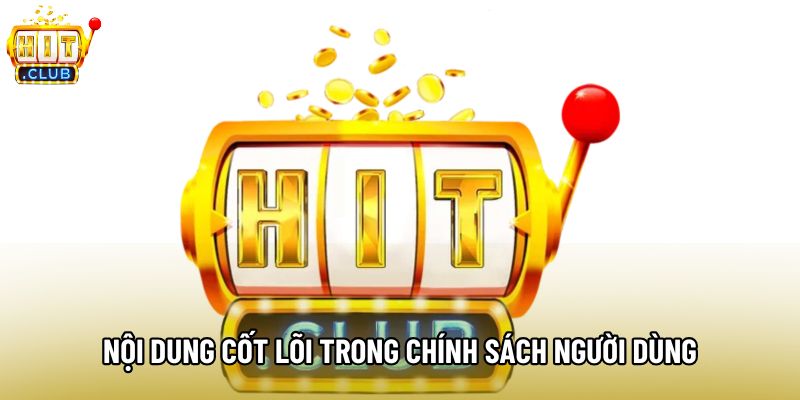 Nội dung cốt lõi trong chính sách người dùng