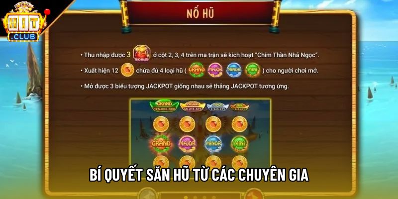 Bí quyết săn hũ từ các chuyên gia